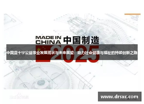 中国蓝十字公益事业发展现状与未来展望：助力社会健康与福祉的持续创新之路